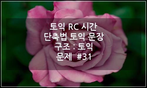 오늘의 이미지