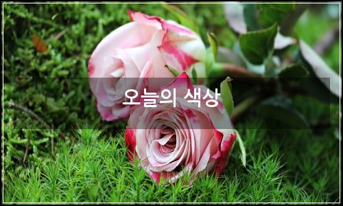 오늘의 이미지
