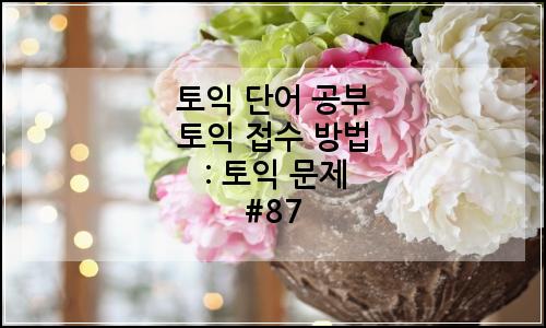 오늘의 이미지