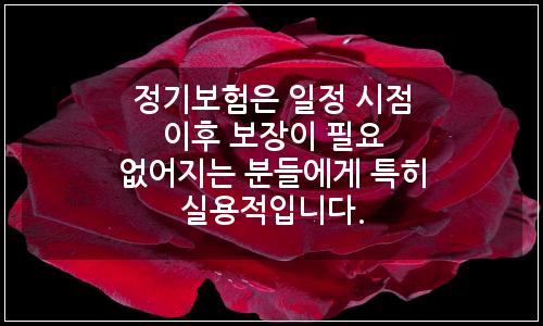 오늘의 이미지
