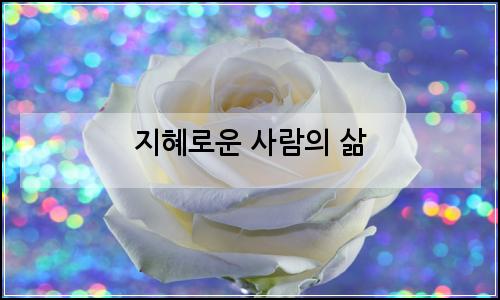 오늘의 이미지