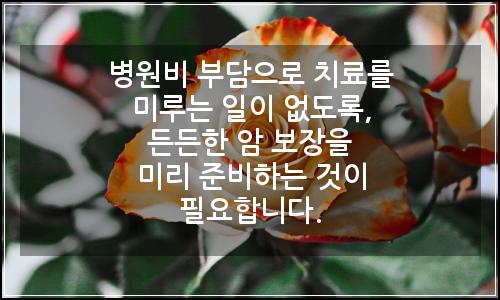 오늘의 이미지