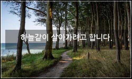 오늘의 이미지