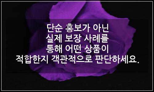 오늘의 이미지