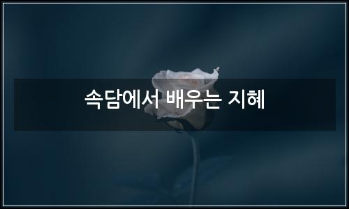 오늘의 이미지