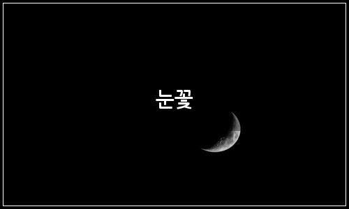 오늘의 이미지