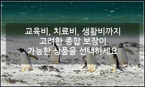 오늘의 이미지