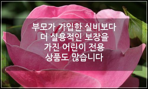 오늘의 이미지