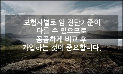 오늘의 이미지