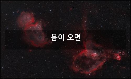 오늘의 이미지