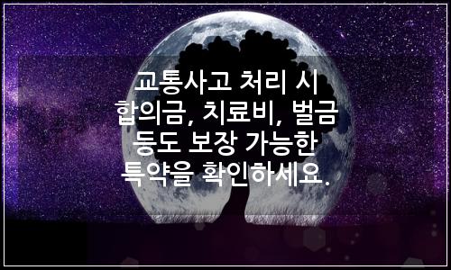 오늘의 이미지
