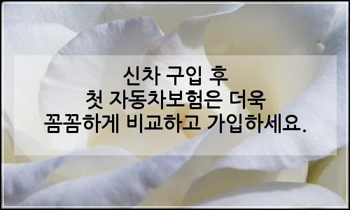 오늘의 이미지