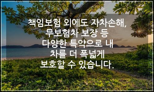 오늘의 이미지