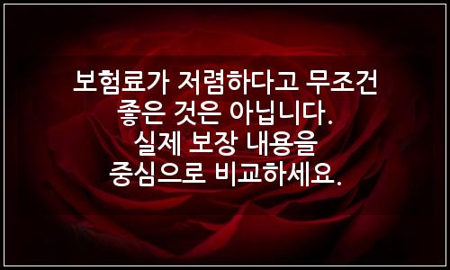 오늘의 이미지