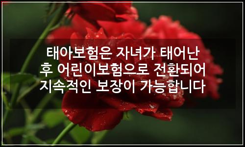 오늘의 이미지