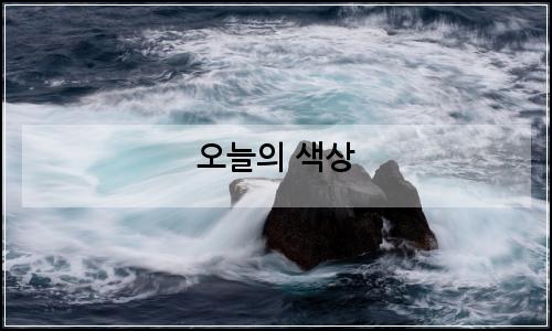 오늘의 이미지