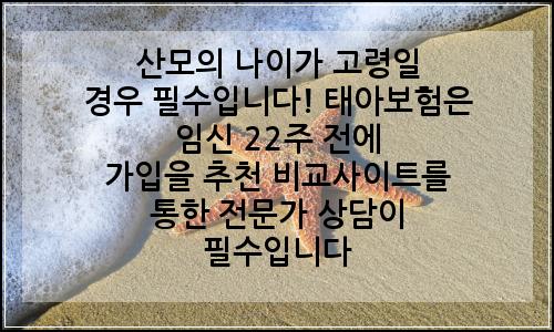 오늘의 이미지