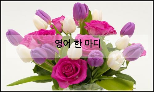 오늘의 이미지