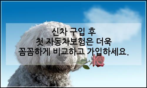 오늘의 이미지