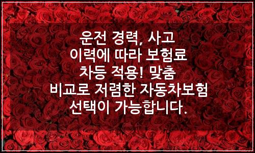 오늘의 이미지