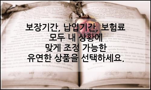 오늘의 이미지