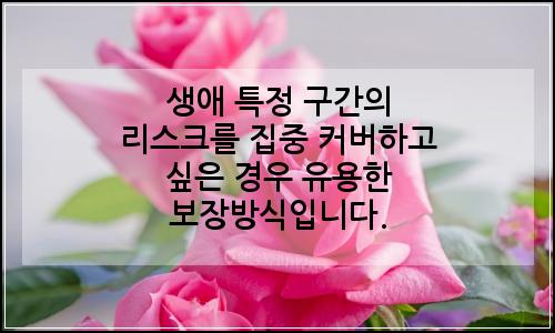 오늘의 이미지