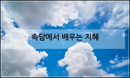 오늘의 이미지