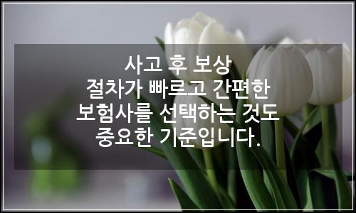 오늘의 이미지