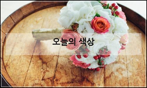 오늘의 이미지