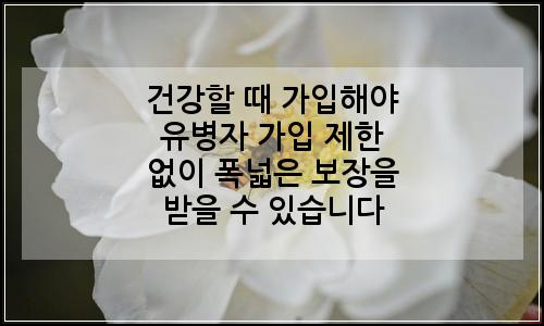 오늘의 이미지