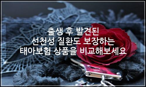 오늘의 이미지