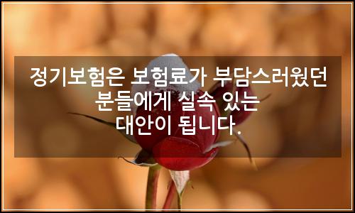 오늘의 이미지