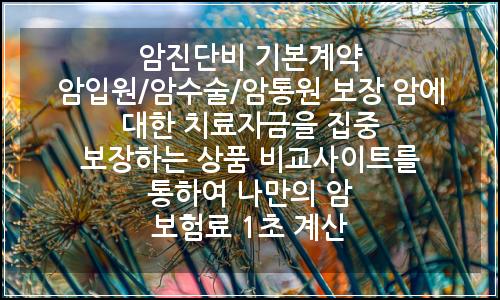 오늘의 이미지