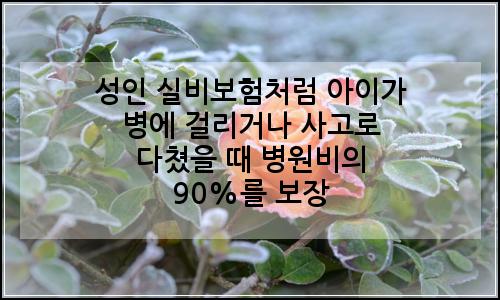 오늘의 이미지