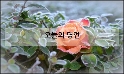 오늘의 이미지