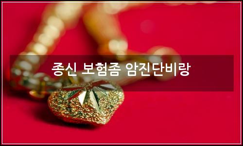오늘의 이미지