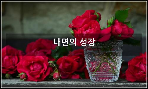 오늘의 이미지