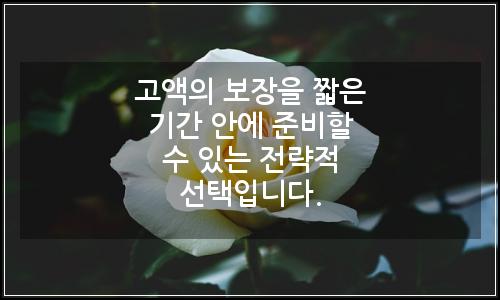 오늘의 이미지