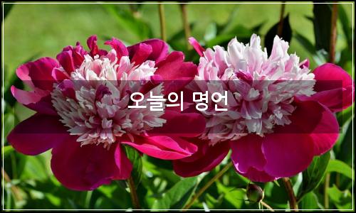 오늘의 이미지