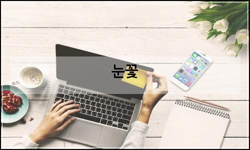 오늘의 이미지