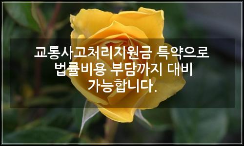 오늘의 이미지