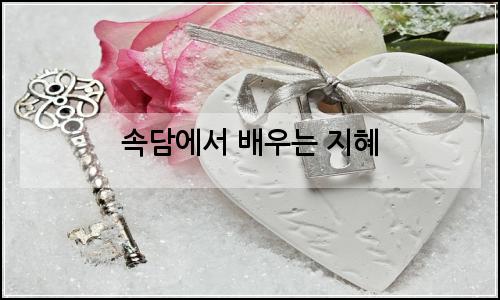 오늘의 이미지