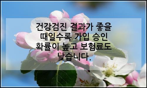 오늘의 이미지