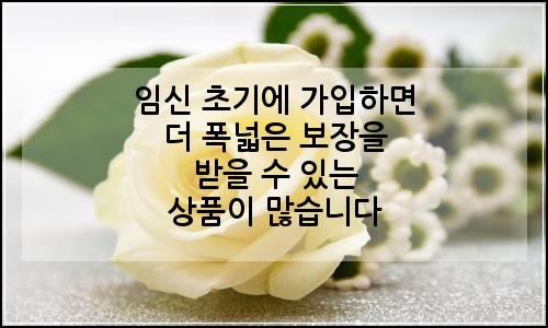 오늘의 이미지
