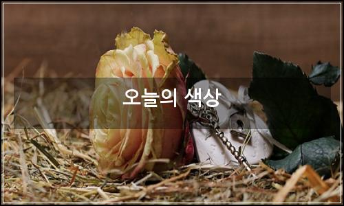 오늘의 이미지
