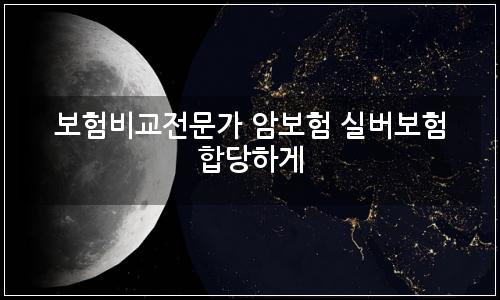 오늘의 이미지