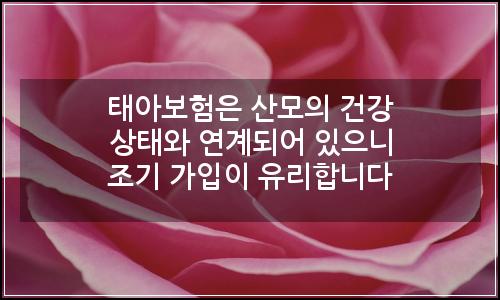 오늘의 이미지