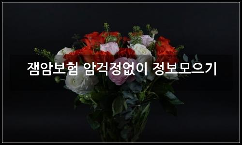 오늘의 이미지