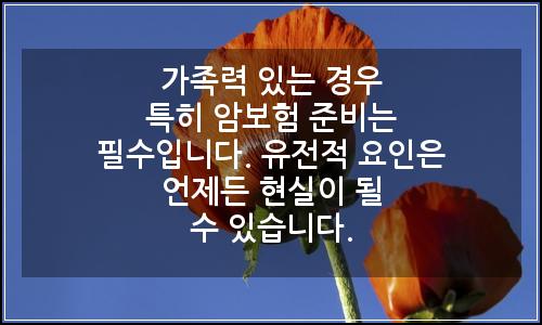 오늘의 이미지