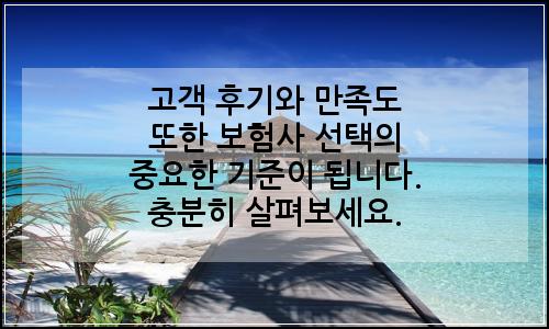 오늘의 이미지